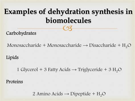 PPT - DEHYDRATION SYNTHESIS PowerPoint Presentation, free download - ID ...