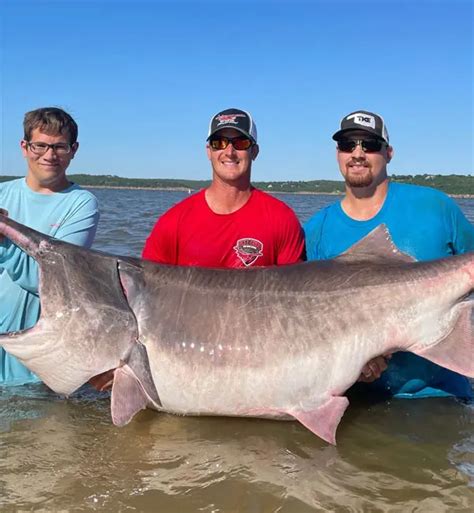 Fishing Guides Meat Hunter Rods