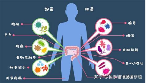 肠道菌群检测全解读 知乎