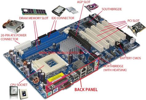 Pengertian Motherboard Beserta Fungsi dan Jenis-jenis Motherboard ...