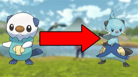 Pokemon Legends Arceus How To Evolve Oshawott The Nerd Stash