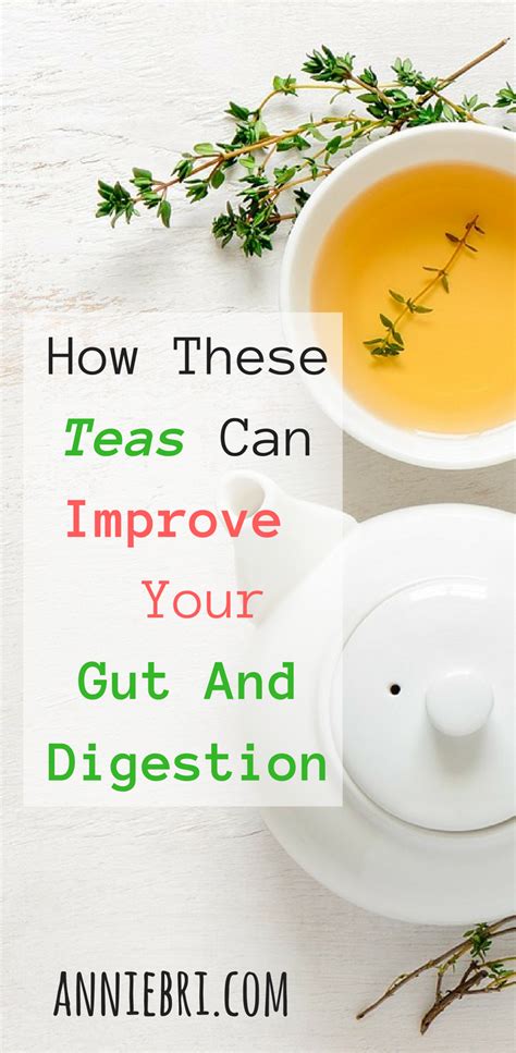 How These Teas Can Improve Your Gut And Digestion Annie Bri Healthy