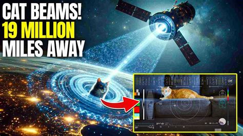 Laser Beamed Cat Video From Million Miles Away Youtube