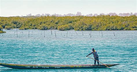 Viaggi In Senegal In Autunno Viaggi E Tour Su Misura Evaneos