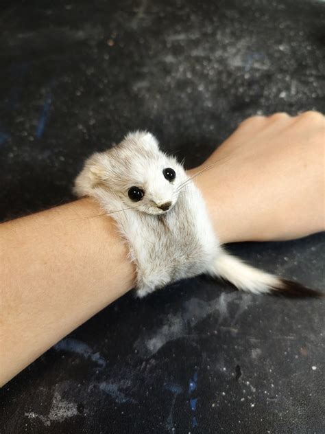 Weasel Slap Bracelet Grey And White Ermine Ermine Taxidermy Etsy