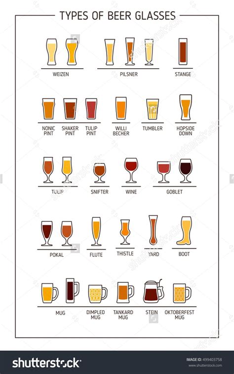 Beer Glass Buying Guide Types Shapes Sizes Explained 60 Off