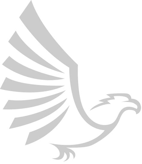 eagle logo  vector art  vecteezy