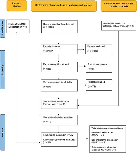This Diesel Leak Exposed a Systemic Problem: The Railey Case Study - t2mxgsw