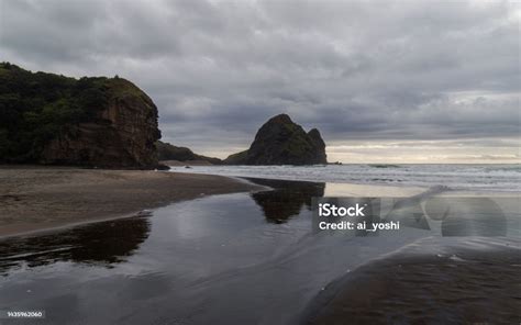 Piha Stream And Piha Beach Stock Photo Download Image Now Auckland