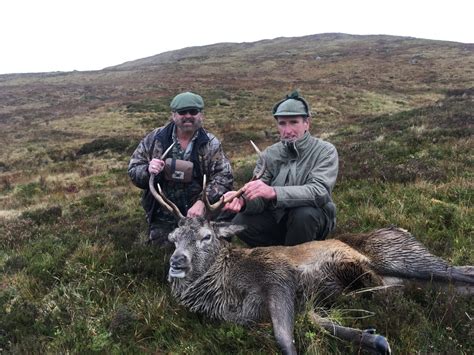 Stag Hunting Scotland: Red Deer, Sika Stag and Roe Buck