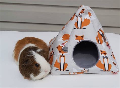 Guinea Pig Tee Pee Guinea Pig Bed Hedgehog Hide Hedgehog Etsy