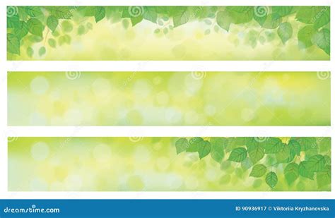 Vector Green Leaves Banners Stock Vector Illustration Of Blurred