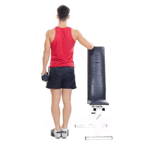 Calf Standing Dumbbell Craft Raise By Saranyapong T Exercise How