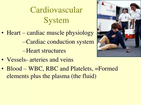 Ppt Cardiovascular System Powerpoint Presentation Free Download Id