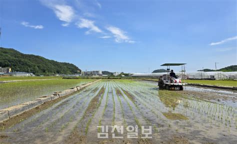 김천시농업기술센터 예찰포 모내기 행사