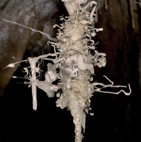 This is a Helictite - a stalactite that changes direction during its ...