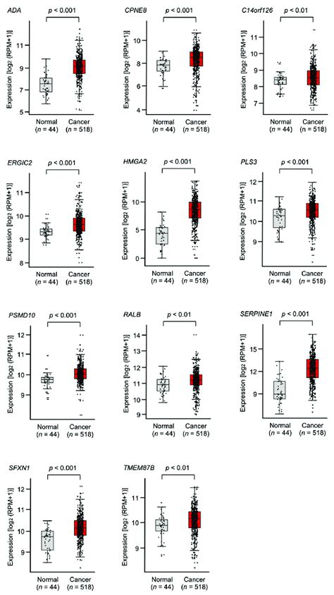 Hnscc Tissue Expression Of 11 Target Genes Of Mir 30e 3p Using