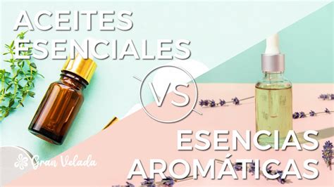 Diferencia Entre Aceites Esenciales Y Esencias Aromaticas YouTube