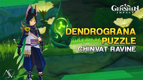 Dendrograna Puzzle Chinvat Ravine Genshin Impact 3 0 YouTube