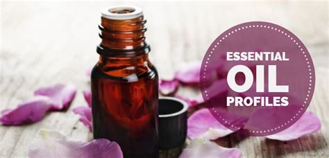 Aromatherapy And Essential Oils Aromaweb