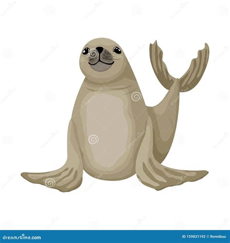 Cheerful Little Fur Seal. Vector Isolated Animal Character on White Background Stock Vector ...