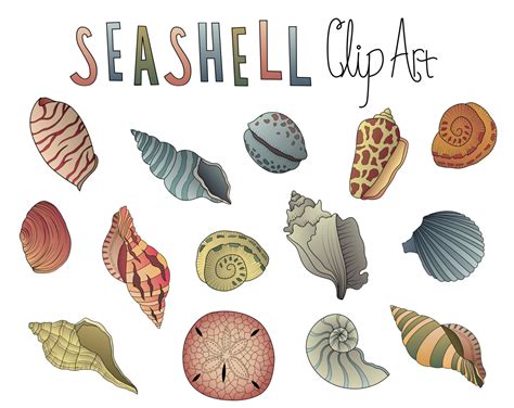 Vintage Seashells Clip Art Set Of Png And Vector Etsy