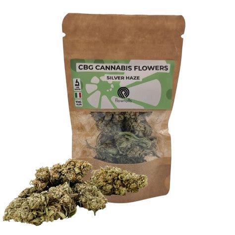 Susz Konopny CBG Silver Haze 1g 12888754749 Allegro Pl