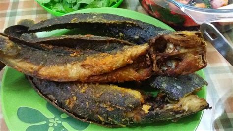 Jenis Ikan Keli Malaysia