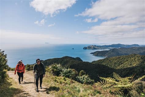 Things To Do In Coromandel Town Coromandel Coastal Walkway The