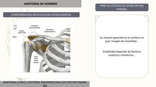 ANATOMIA HOMBRO Y VARIEDAD DE LUXACIONES PPT