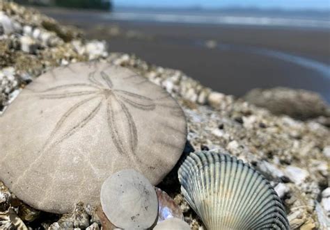 Winter In Seaside Oregon Offers Outdoor Adventures Meredith Lodging