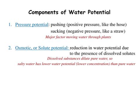 Water Potential Biology A Level