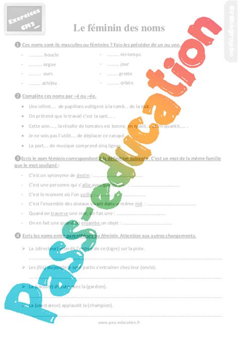 Le F Minin Des Noms Au Cm Exercices R Visions Pdf Imprimer