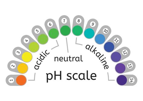 Ph Meter Vector Art Png Ph Scale Value Meter With Acid Hydronium