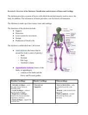 Ex 8 9 Lab 4 Pdf Exercise 8 Overview Of The Skeleton