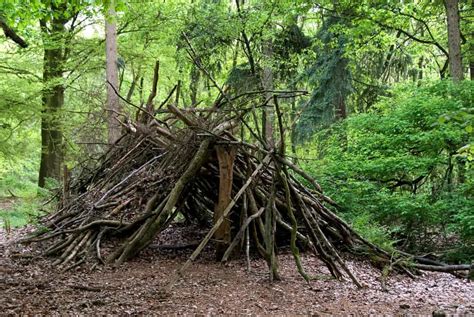 How To Build A Survival Shelter Be Zombie Prepared