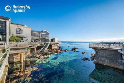 Skip The Line: Monterey Bay Aquarium Admission Ticket: Triphobo