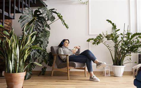 Como Refrescar A Casa Sem Ar Condicionado Ou Ventilador O Dia