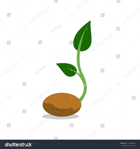 Plant Seed Growth Clipart Vector Stock Vector Royalty Free 1721879866