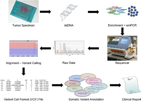 Next Generation Sequencing Schematic