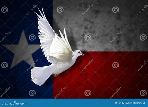 Texas Flag Dove Of Peace Patriot Independence Day Stock Image Image