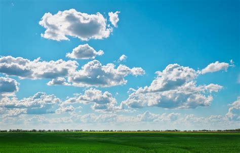 Campo Verde Y Hermoso Cielo Azul Nublado Con Nubes Ligeras Paisaje