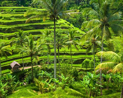 Best Cities to Visit in Vietnam: 10 Places You Have to Visit
