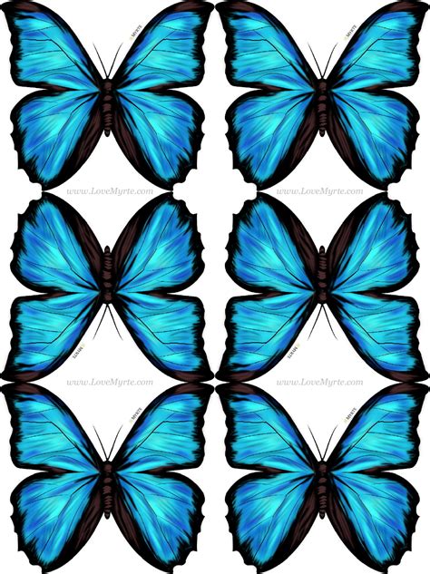 Morpho Butterfly Blue Morpho Blue Butterfly Butterfly Print Happy