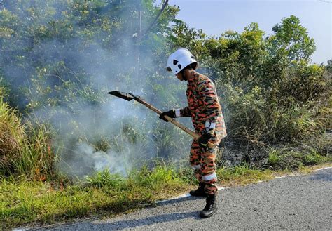 Bomba Padamkan Kebakaran Rumput Setengah Ekar Di Miri Utusan Borneo