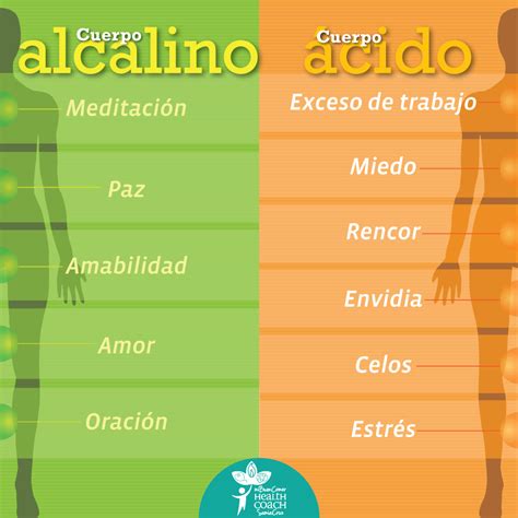 Nutricionista Estudiar Cuerpo Alcalino