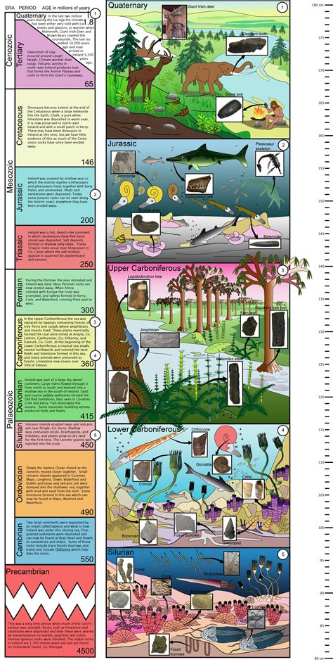 The Geological Time Scale Relates The Ordering Of Rocks Stratigraphy