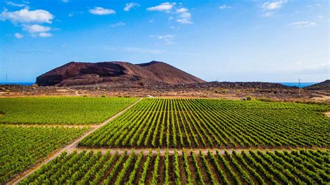 Factores Que Influyen En La Agricultura De Canarias Agroingenia Canarias