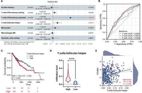 Frontiers Comprehensive Analysis Of Foxm1 Immune Infiltrates M6a