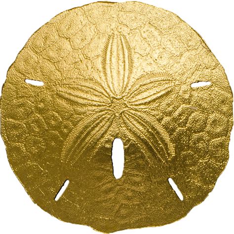 Sand Dollar Cit Coin Invest Ag